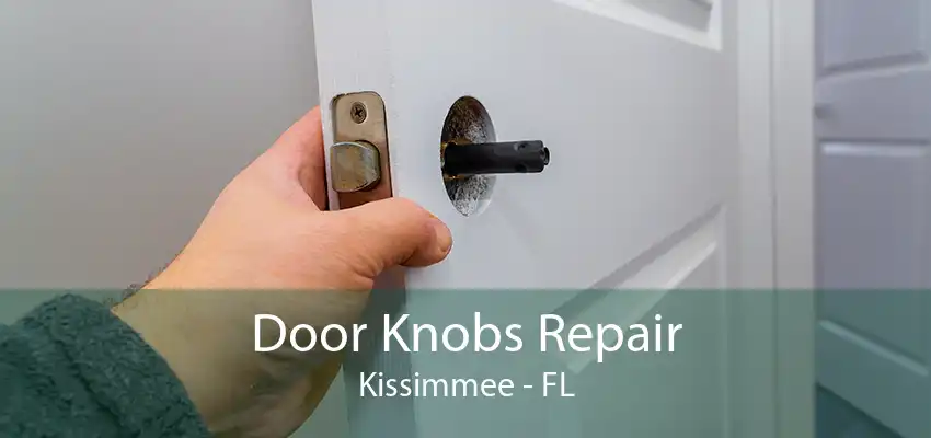 Door Knobs Repair Kissimmee - FL