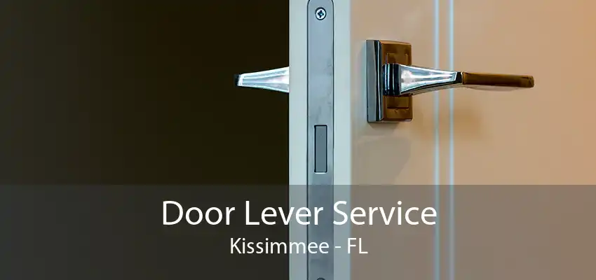 Door Lever Service Kissimmee - FL